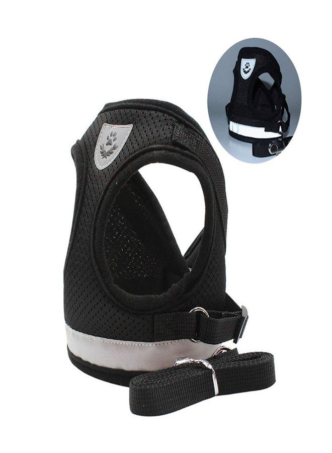 ZIBUYU® 7 Pcs rooming Tools Tick Remover Tool Set for Dogs Cat Pet Lice Remover Tick Tweezer - Image 2